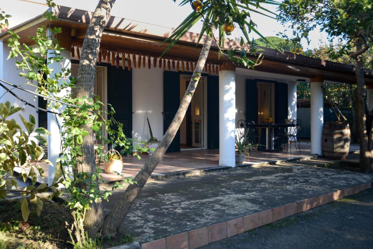 皮雅诺迪索伦托Agriturismo Piccolo Canyon公寓 外观 照片