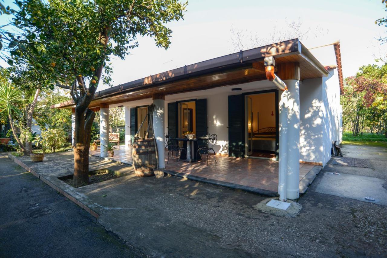 皮雅诺迪索伦托Agriturismo Piccolo Canyon公寓 外观 照片